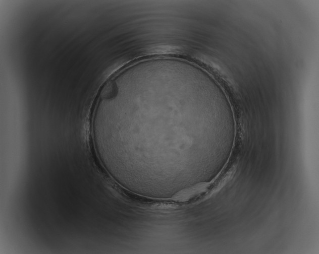 X0000100921073200807151217