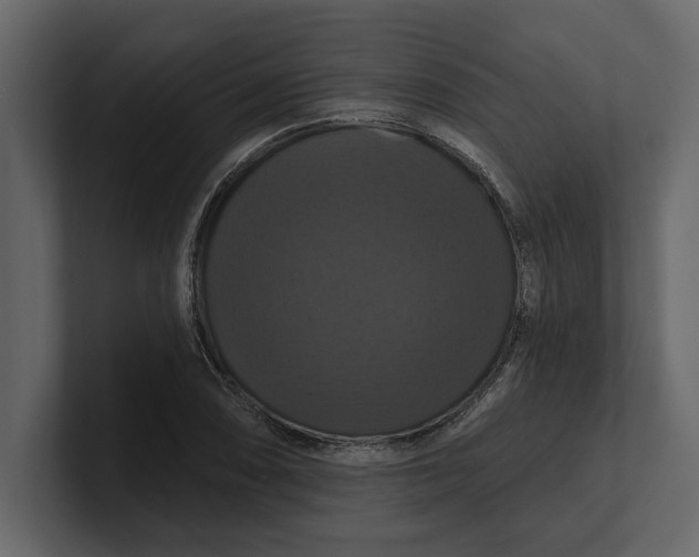 X0000100921074200807151217