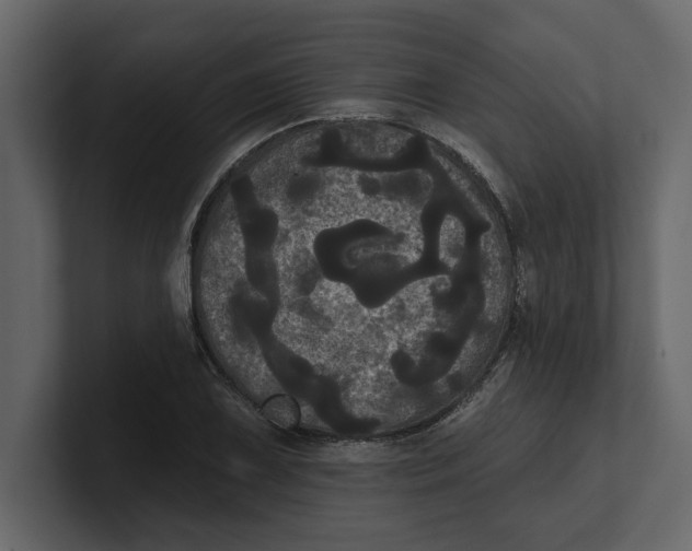 X0000100921075200807151217