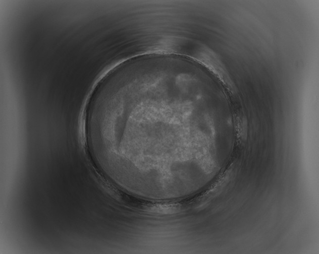 X0000100921078200807151217