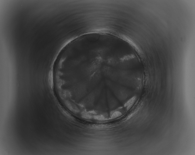 X0000100921079200807151217