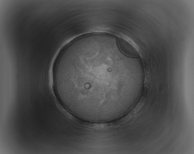 X0000100921080200807151217