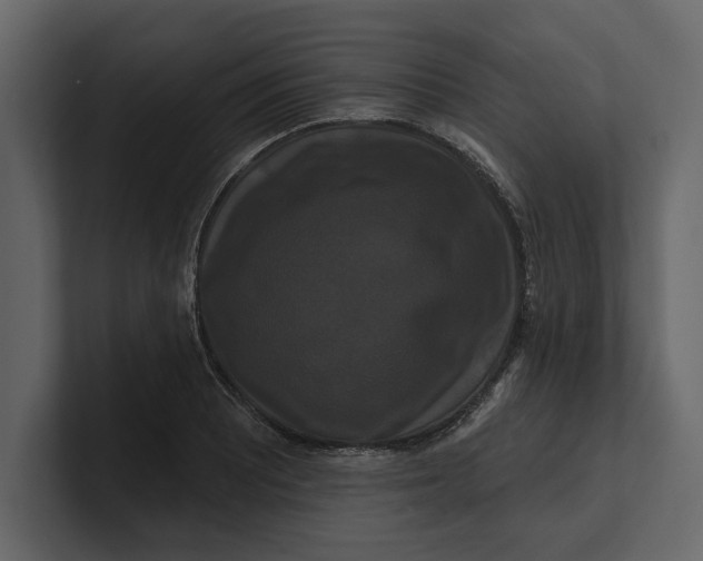 X0000100921081200807151217