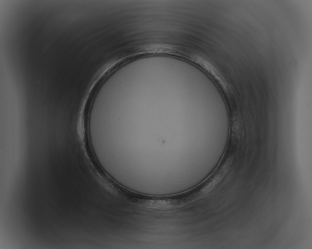 X0000100921082200807151217