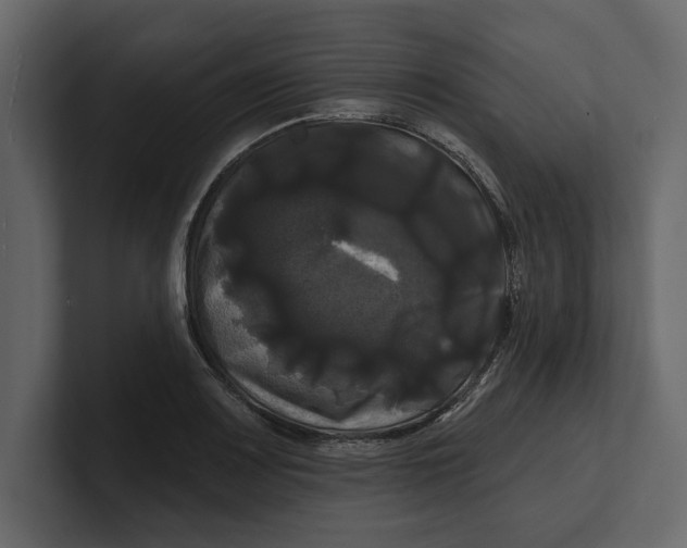 X0000100921083200807151217