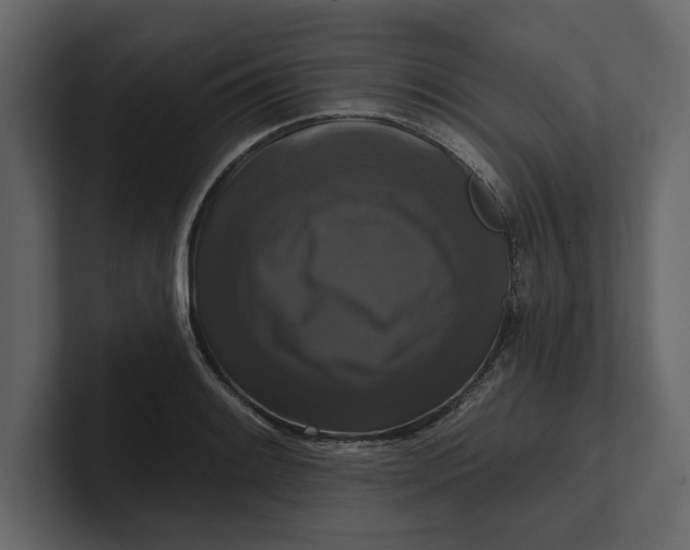 X0000100921084200807151217