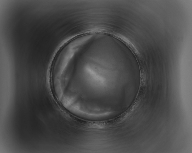 X0000100921086200807151217