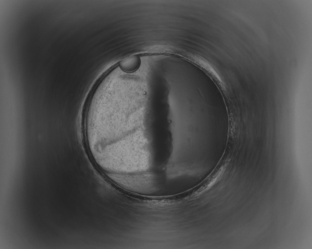 X0000100921087200807151217