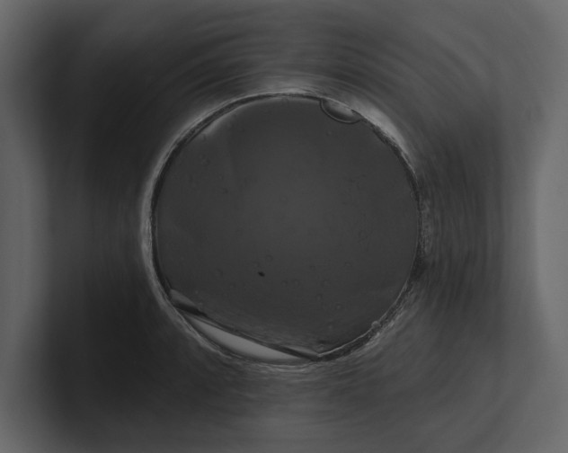 X0000100921088200807151217