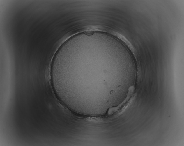 X0000100921089200807151217