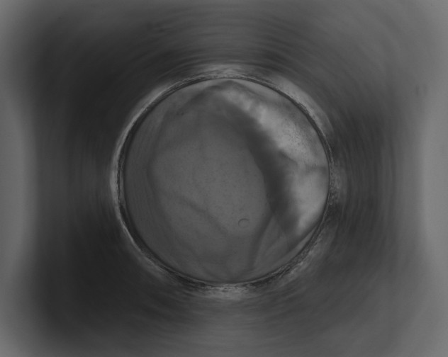 X0000100921090200807151217