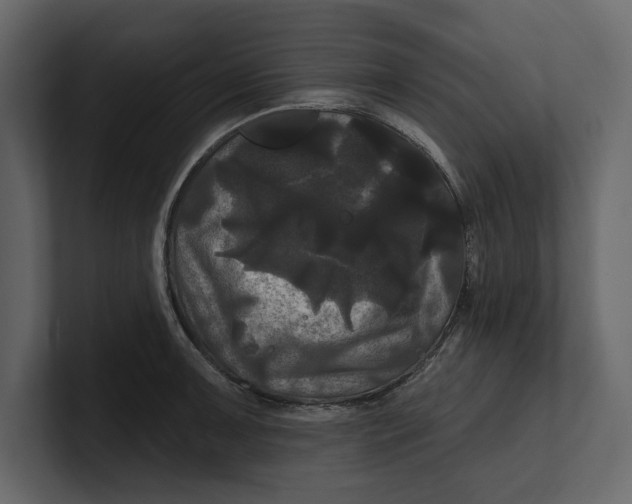 X0000100921091200807151217