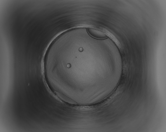 X0000100921092200807151217