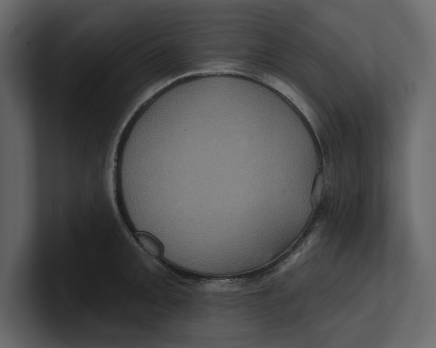 X0000100921093200807151217