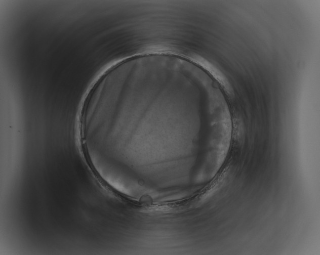 X0000100921094200807151217