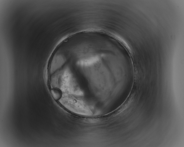 X0000100921095200807151216