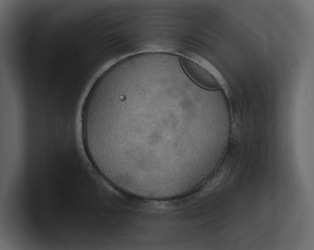 X0000100921096200807151216