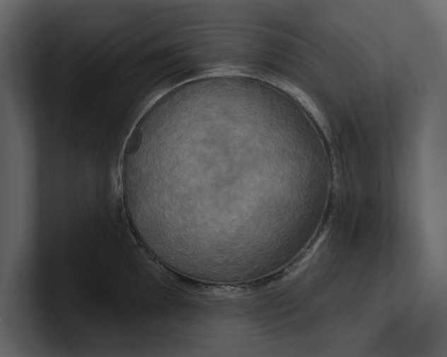 X0000100921097200807151216