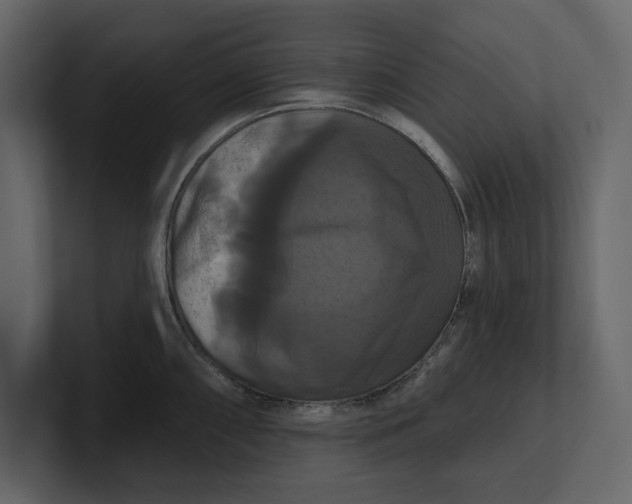 X0000100921098200807151216