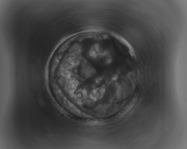 X0000100921099200807151216