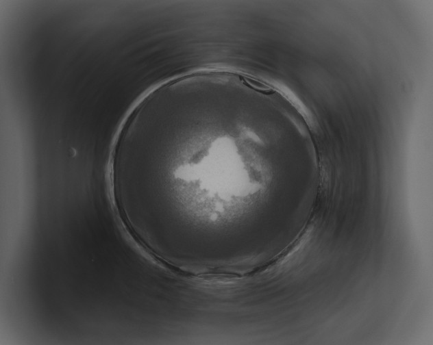 X0000100921100200807151216