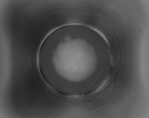 X0000100921101200807151216