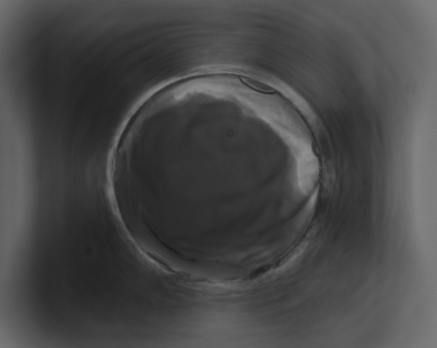 X0000100921102200807151216