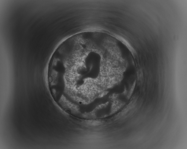 X0000100921103200807151216