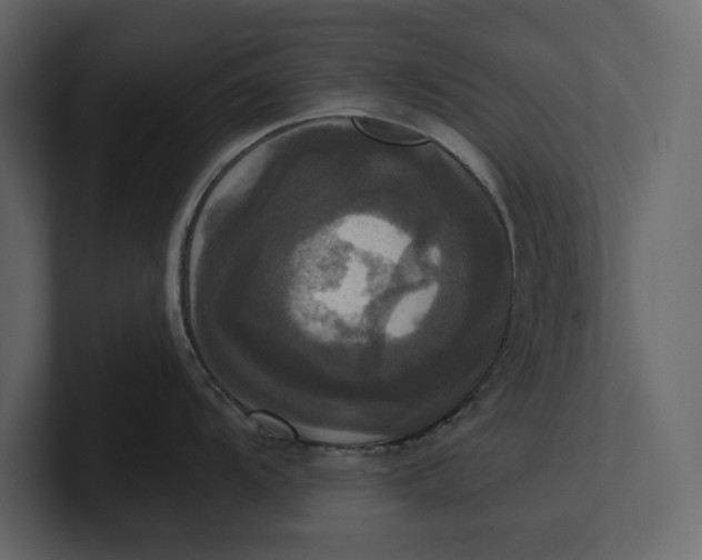 X0000100921104200807151216