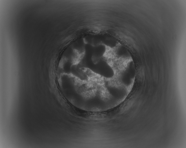 X0000100921105200807151216