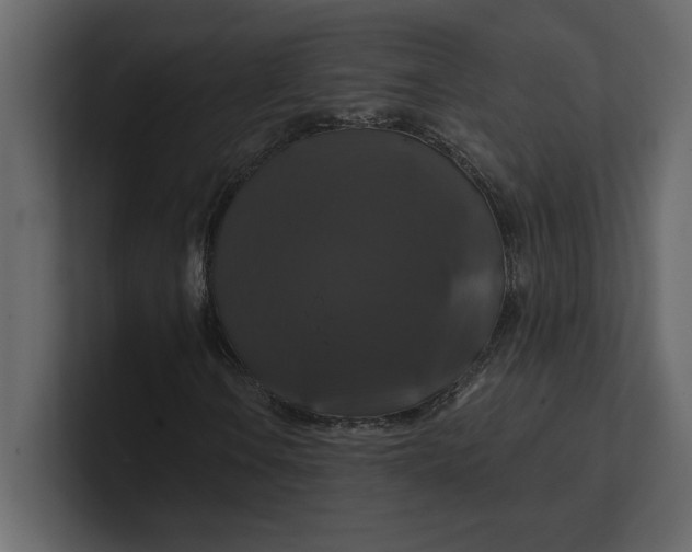 X0000100921106200807151216