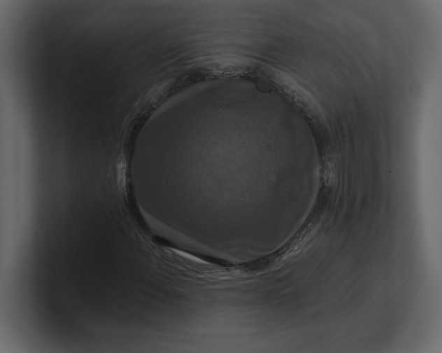 X0000100921108200807151216