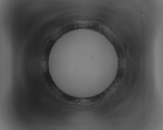 X0000100921109200807151216