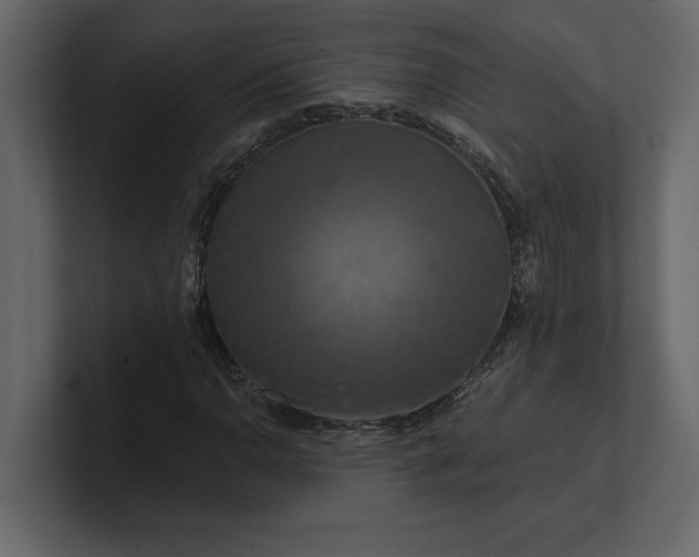 X0000100921110200807151216