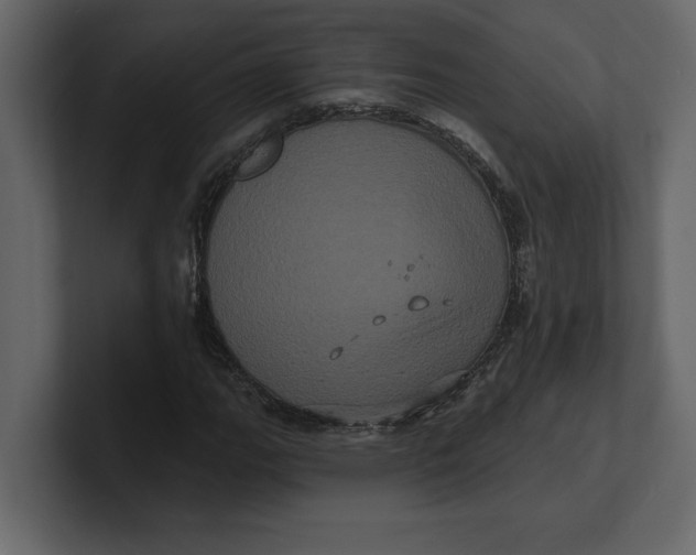 X0000100921111200807151216