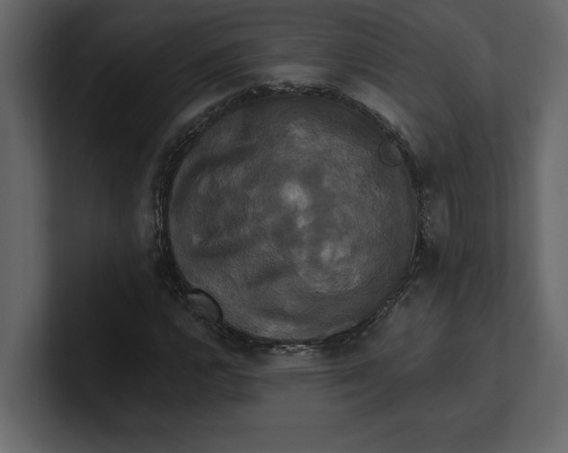 X0000100921112200807151216