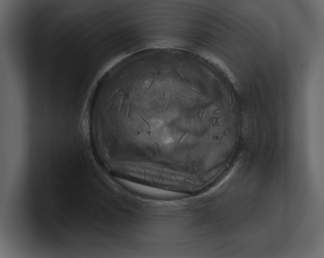 X0000100921114200807151216