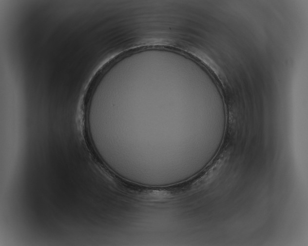 X0000100921119200807151216