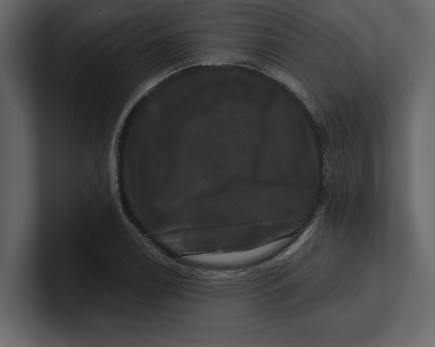 X0000100921122200807151216