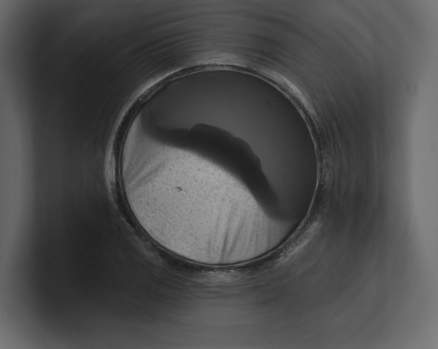 X0000100921125200807151216