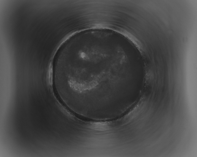 X0000100921126200807151216