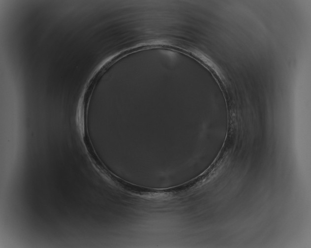 X0000100921127200807151216