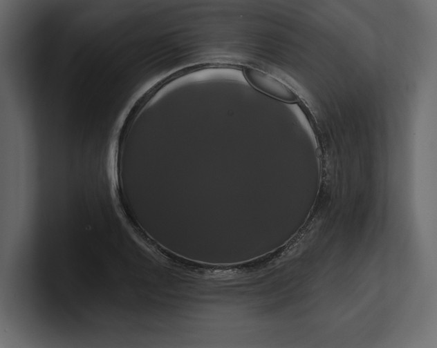 X0000100921128200807151216