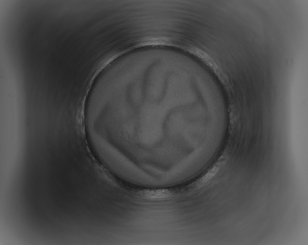 X0000100921129200807151216