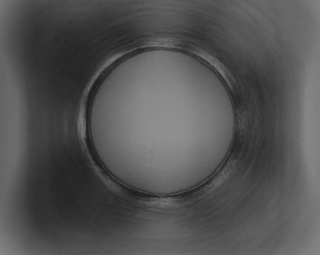 X0000100921131200807151216