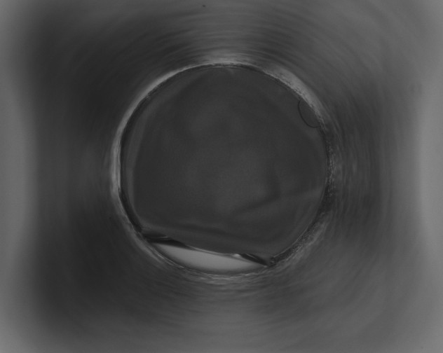 X0000100921132200807151216