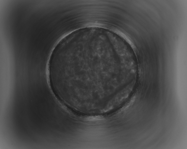 X0000100921133200807151216