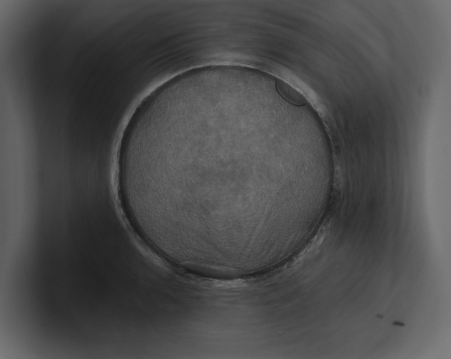 X0000100921136200807151216