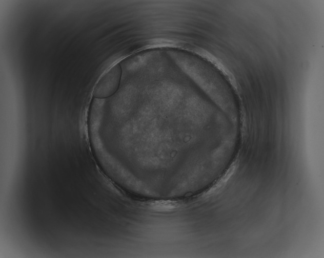 X0000100921137200807151216