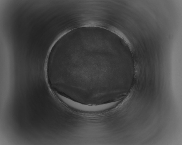 X0000100921138200807151216